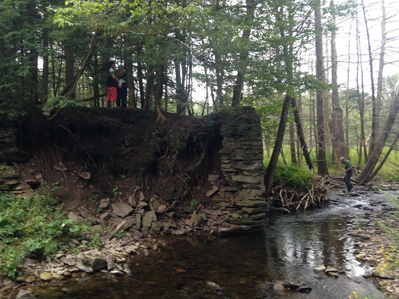 bridge-site hrt bridge site
