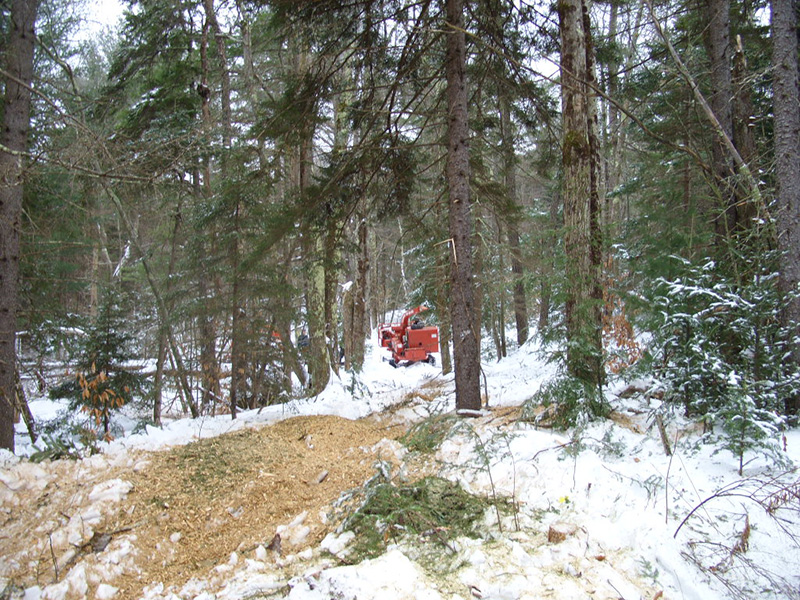 chipper Creating the Phase 3 trail through the Cortina Mountain Estates (January 2018)